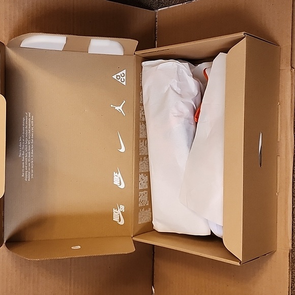 Nike Pegasus 40 (Clemson) - Picture 6 of 14